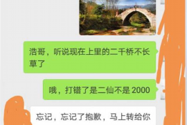 平凉为什么选择专业追讨公司来处理您的债务纠纷？